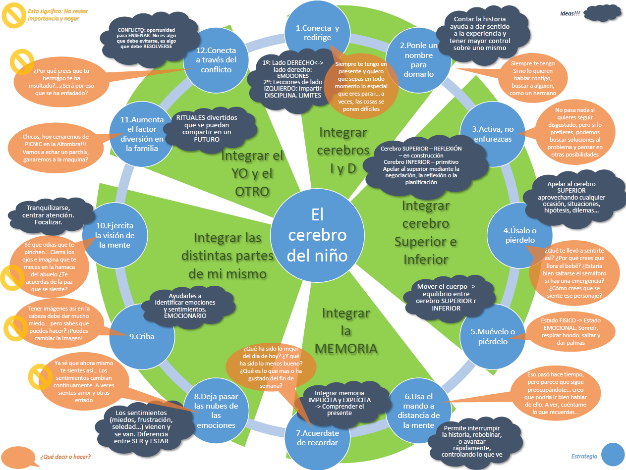 El Cerebro del Nio